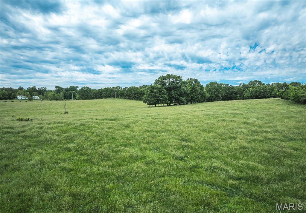 9815 County Road 2780 Mountain View, MO 65548 - Photo 48 of 53