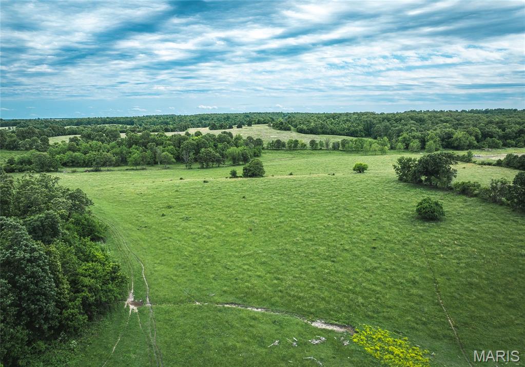 9815 County Road 2780 Mountain View, MO 65548 - Photo 50 of 53