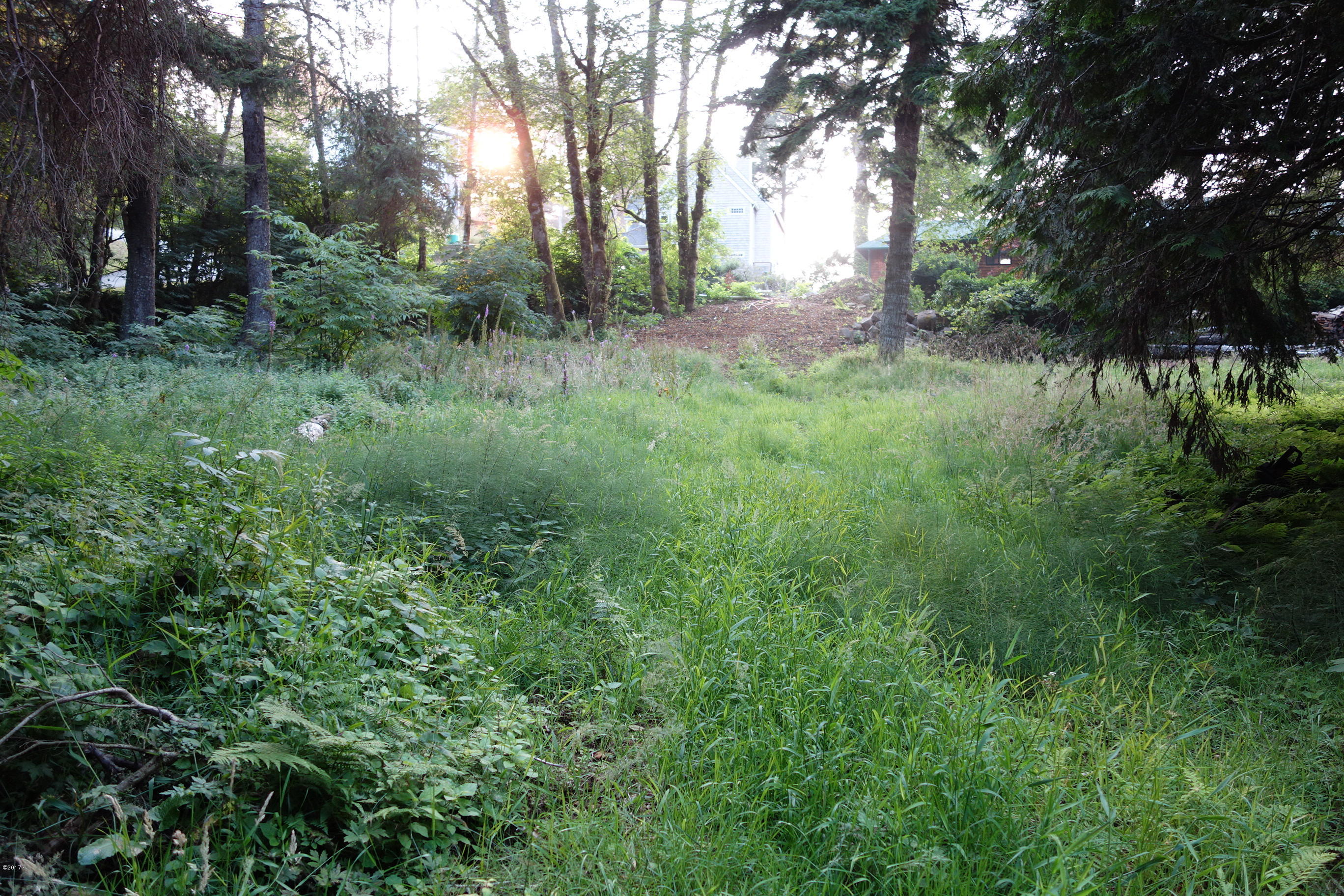 3501 South Beach Road Neskowin, OR 97149 - Photo 11 of 25 Lovely building sites