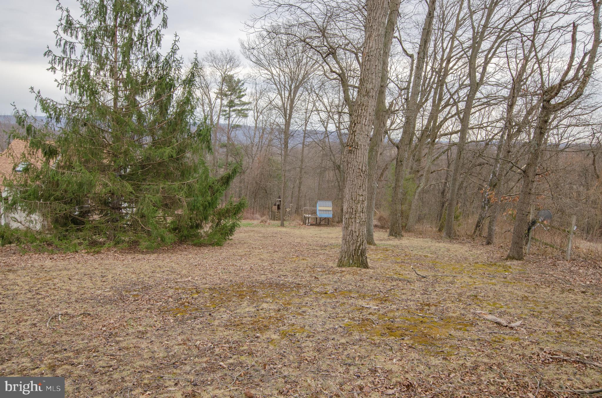 25 Basin Hill Road Duncannon, PA 17020 - Photo 36 of 38