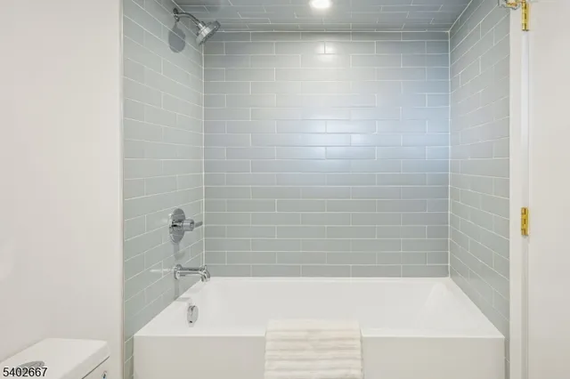 a bathroom with a bathtub and a toilet