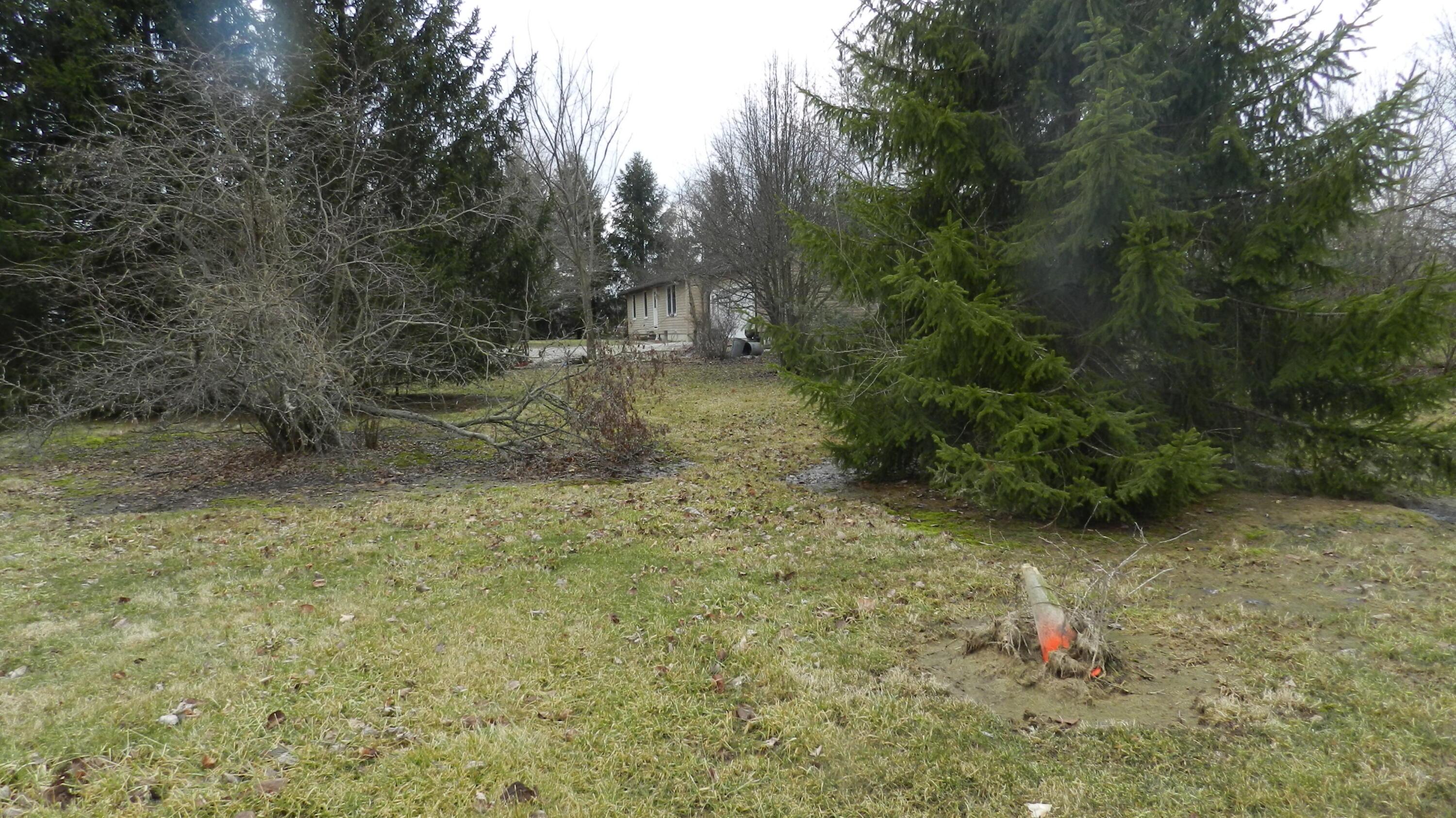 2595 Smeltzer Road Marion, OH 43302 - Photo 27 of 65 DSCN5177