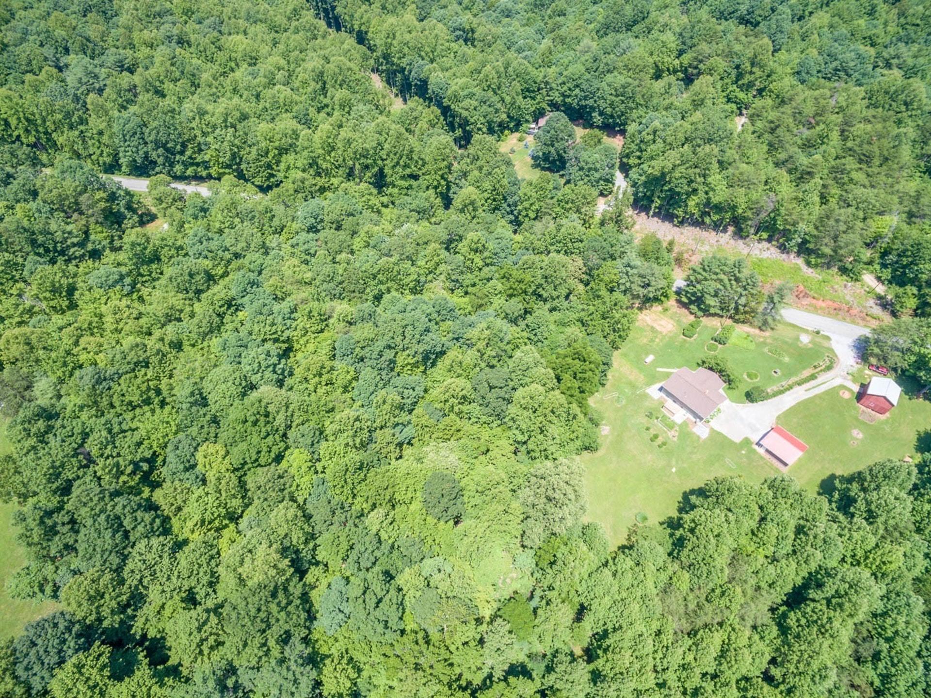 4682 Providence Church Road Ferrum, VA 24088 - Photo 40 of 43 a view of a forest