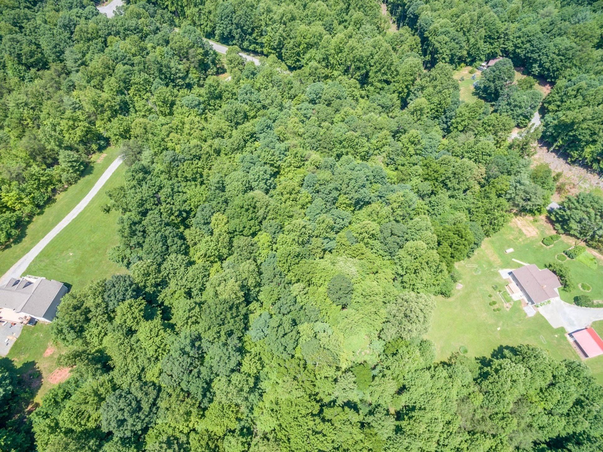 4682 Providence Church Road Ferrum, VA 24088 - Photo 41 of 43 an aerial view of residential house with outdoor space and trees all around