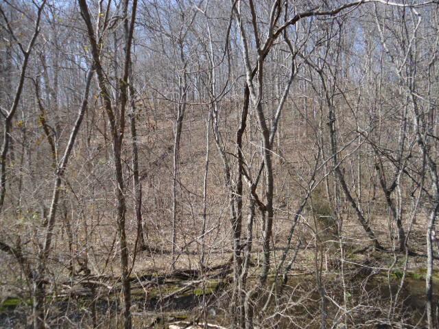 0 Turkey Branch Road Goodspring, TN 38460 - Photo 3 of 9