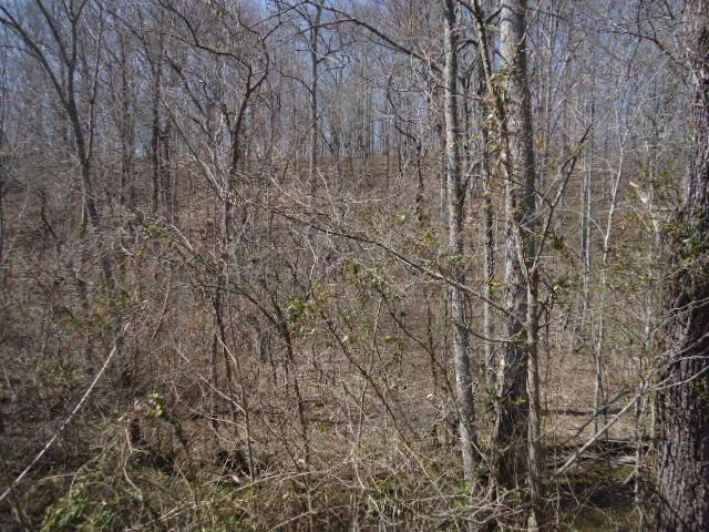 0 Turkey Branch Road Goodspring, TN 38460 - Photo 4 of 9