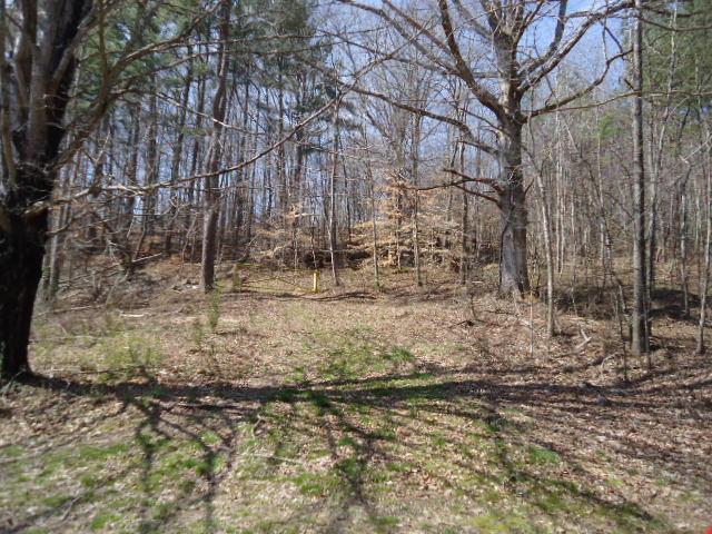 0 Turkey Branch Road Goodspring, TN 38460 - Photo 5 of 9