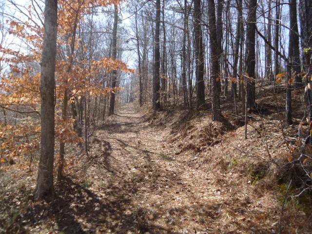0 Turkey Branch Road Goodspring, TN 38460 - Photo 6 of 9