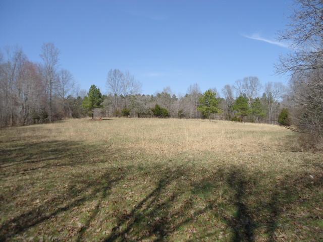 0 Turkey Branch Road Goodspring, TN 38460 - Photo 8 of 9