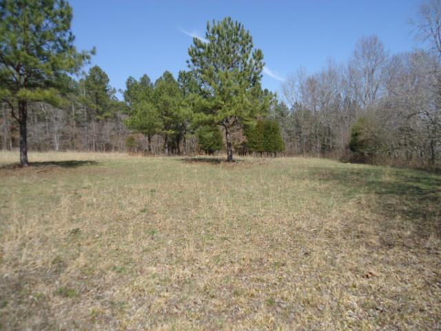 0 Turkey Branch Road Goodspring, TN 38460 - Photo 9 of 9