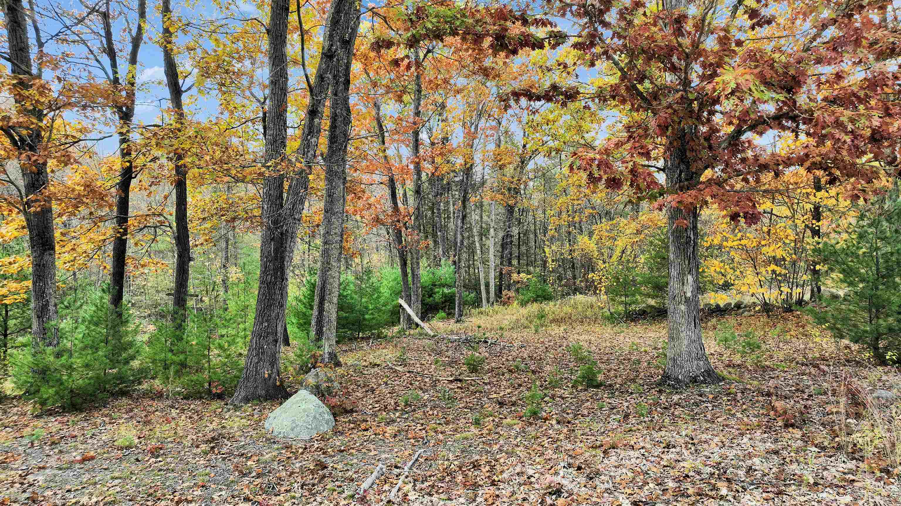 7 Winterberry Road Brookline, NH 03033 - Photo 12 of 15
