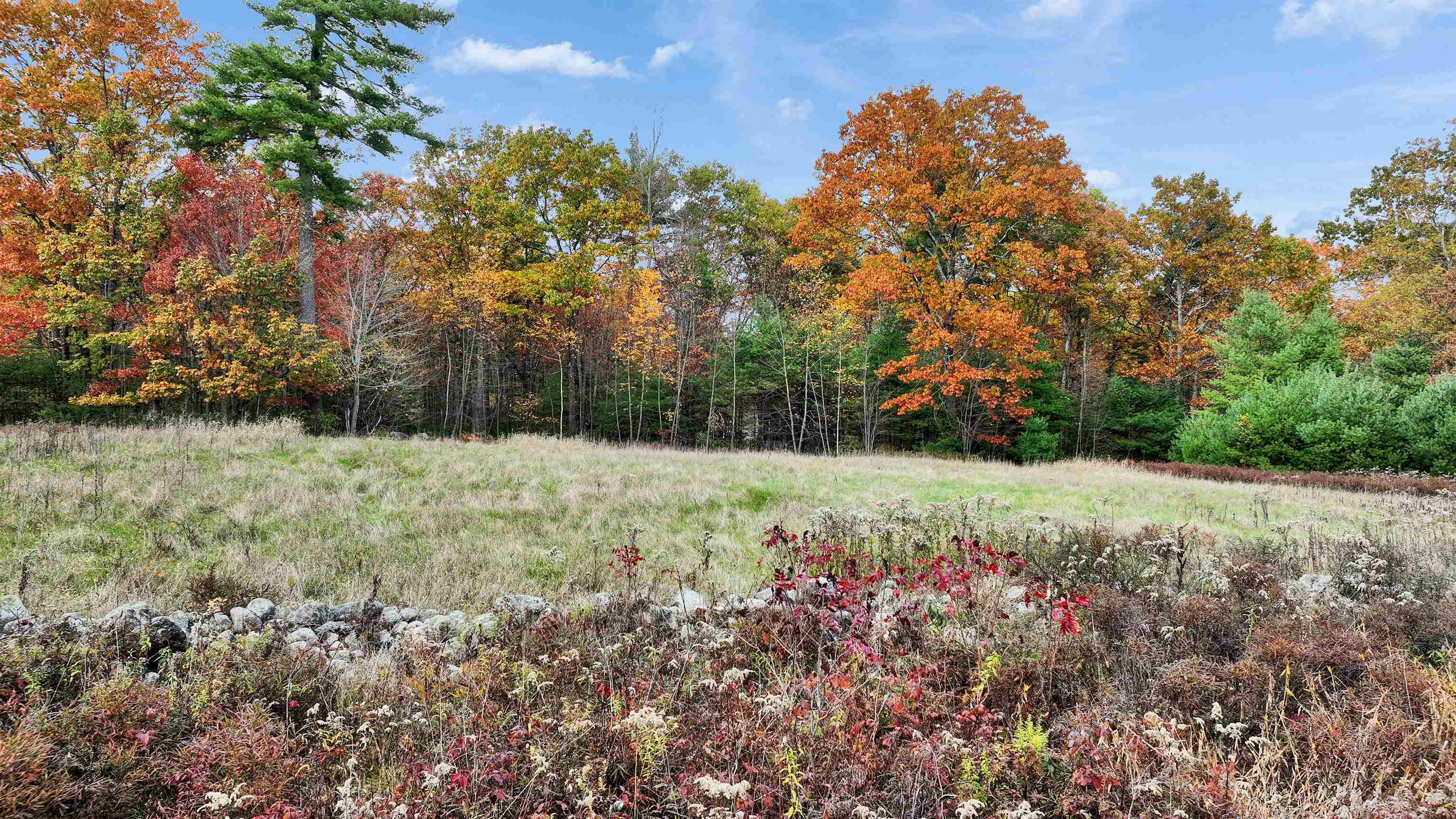 7 Winterberry Road Brookline, NH 03033 - Photo 15 of 15