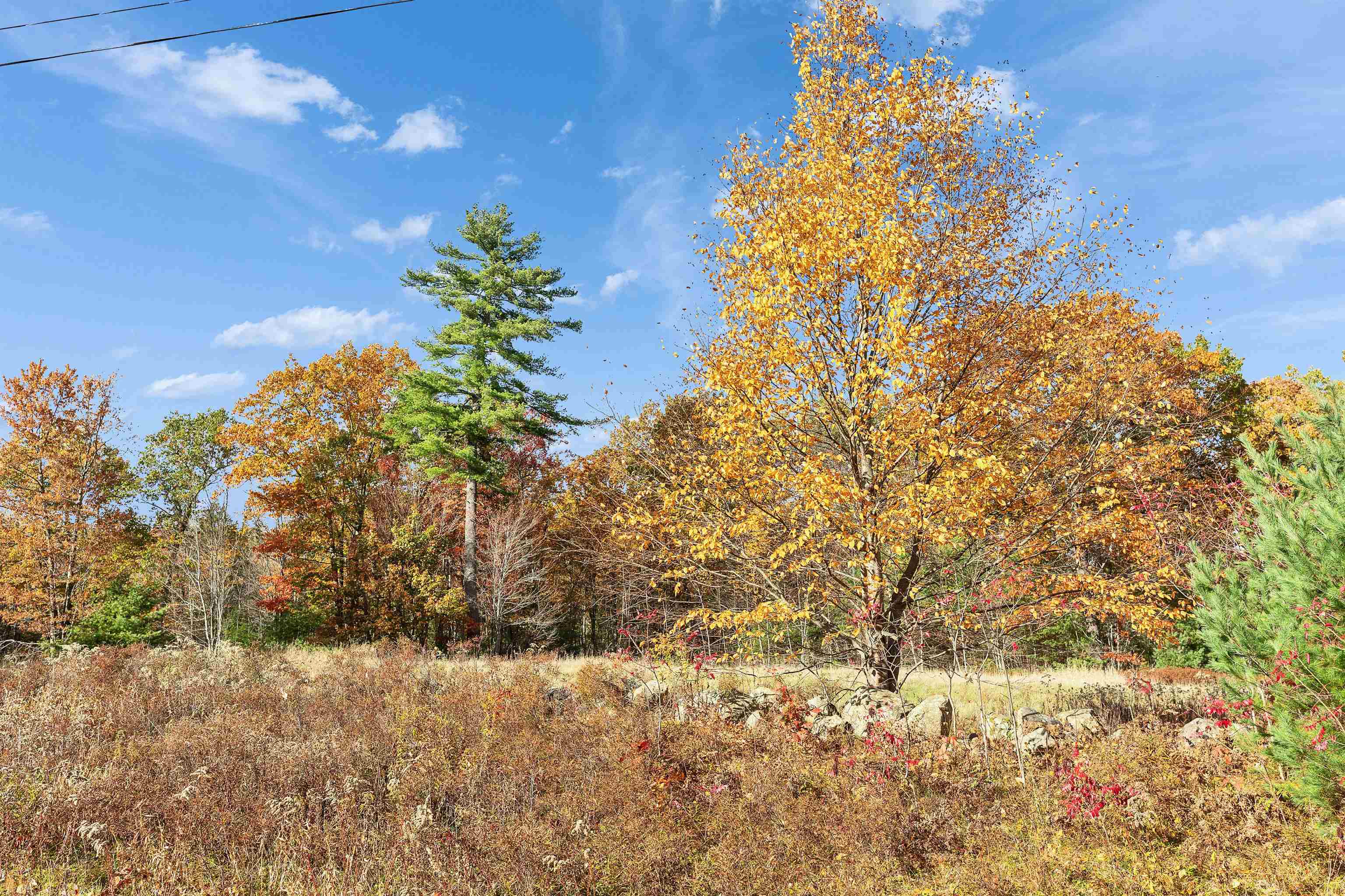 7 Winterberry Road Brookline, NH 03033 - Photo 4 of 15