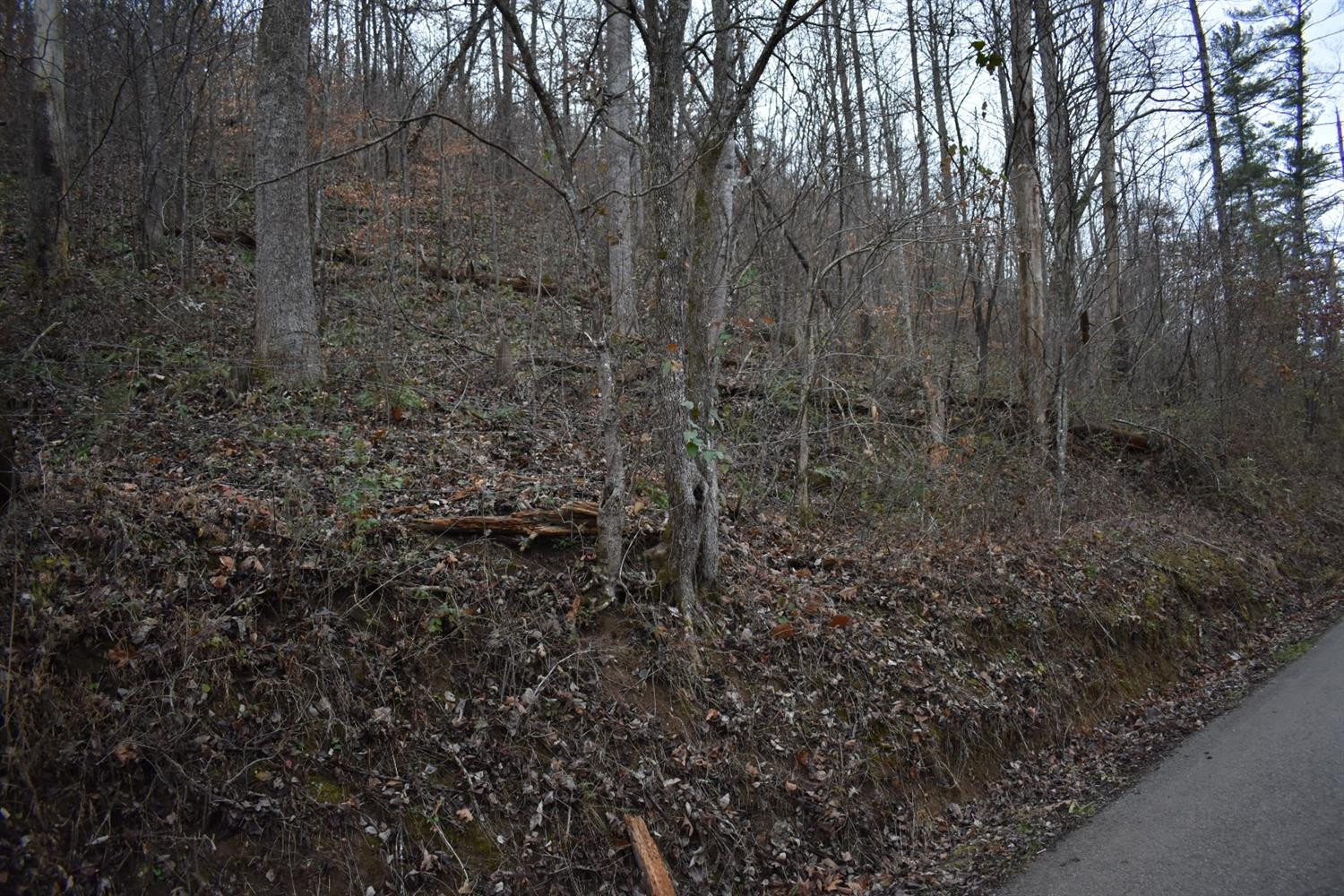 9999 East Crawfish Road Manchester, KY 40962 - Photo 40 of 52 Photo 40