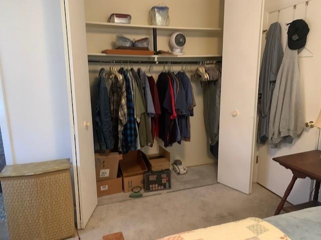 175 Highlands Court Monterey, VA 24465 - Photo 19 of 31 a view of walk in closet with clothes