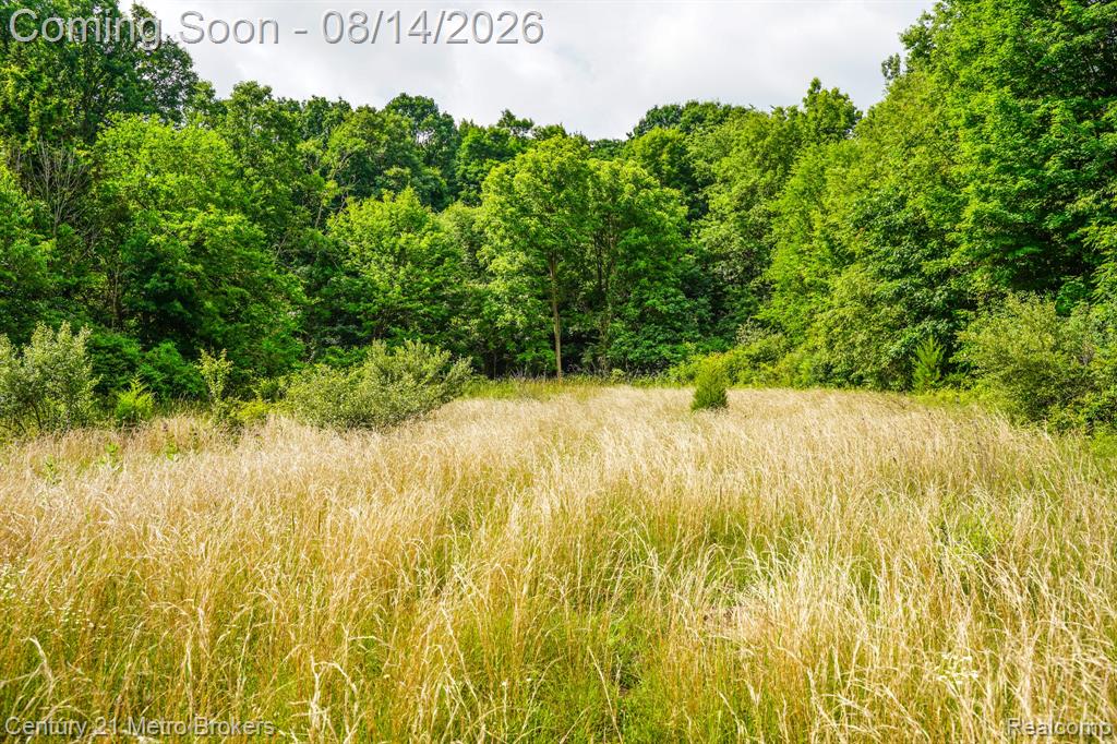 8294 Davison Road Davison, MI 48423 - Photo 14 of 16 Gallery Image 14