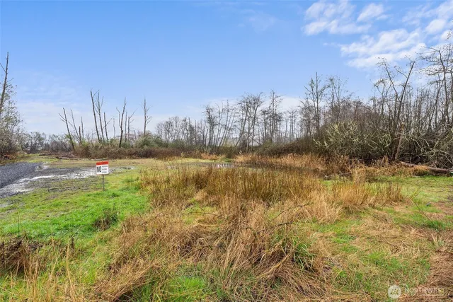 a view of a lake with houses in the back