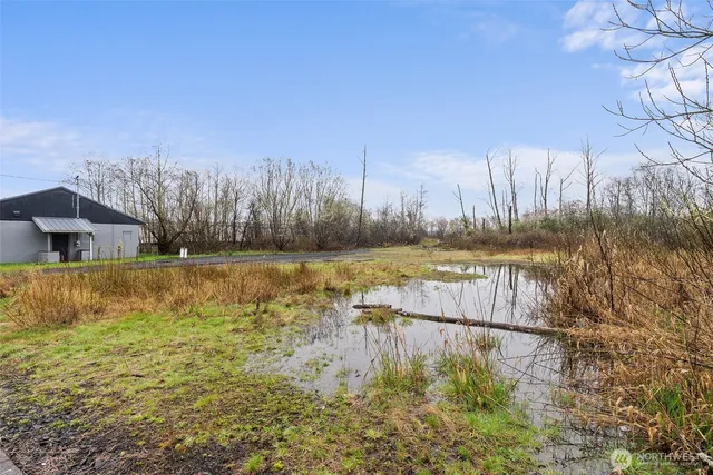 a view of a lake from a yard