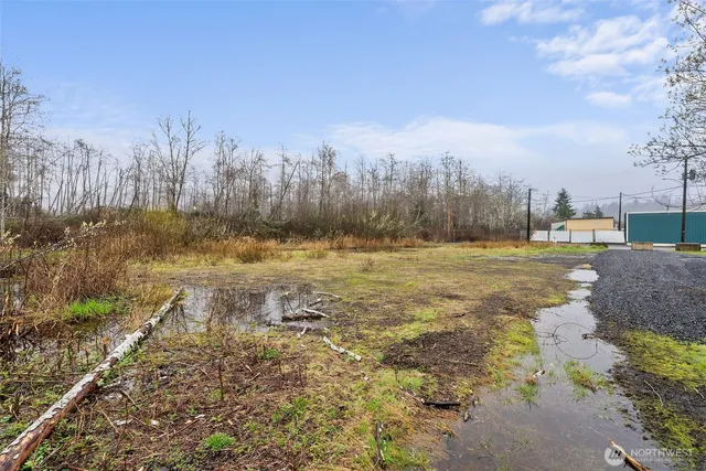 a view of a yard with trees