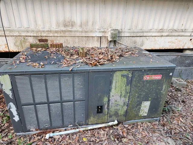 a view of a fruit basket