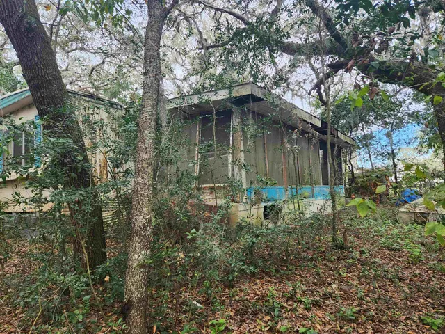a backyard of a house with lots of plants and tree