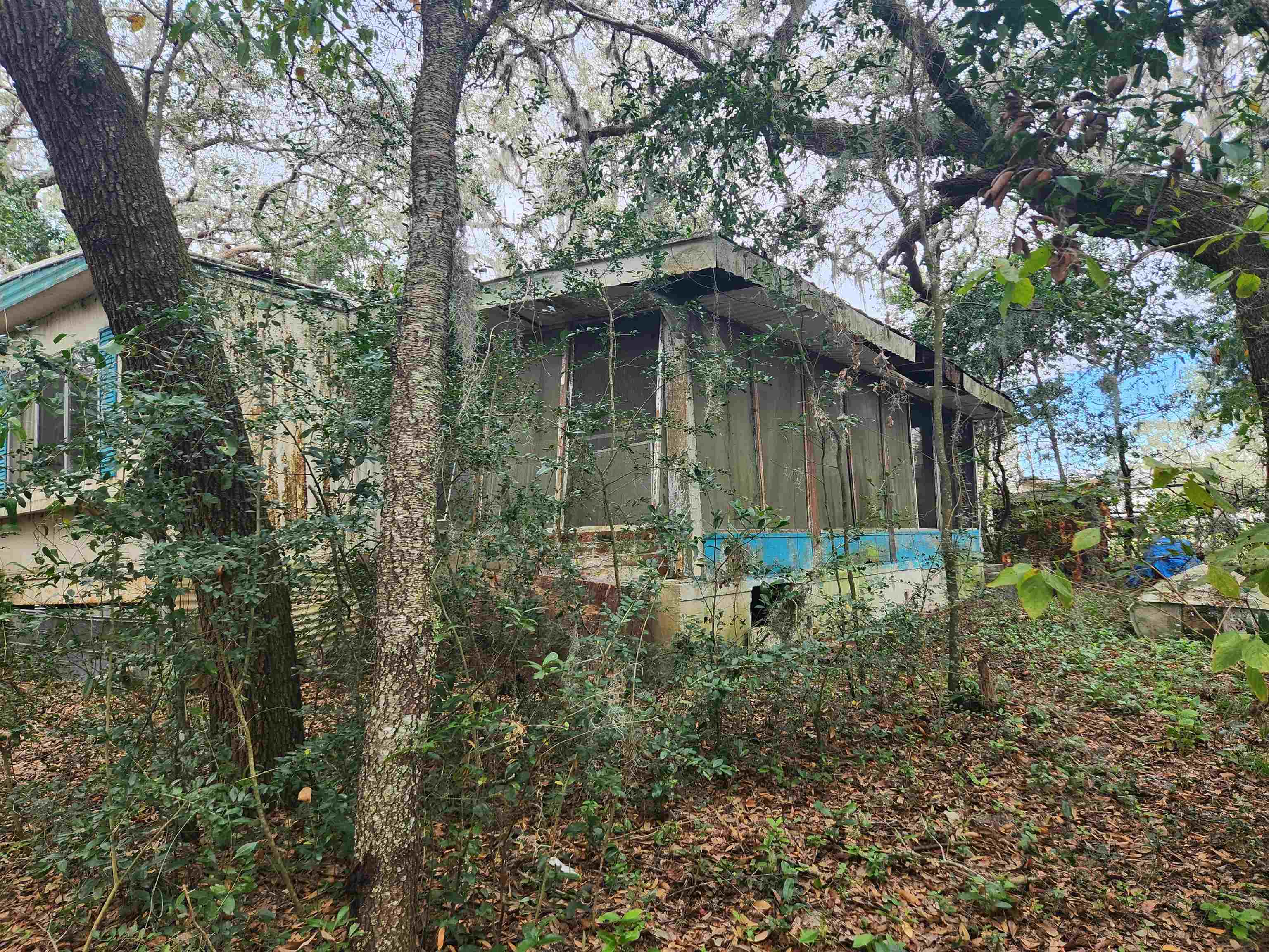 2890 Old Moultrie Road St. Augustine, FL 32086 - Photo 6 of 18 a backyard of a house with lots of plants and tree