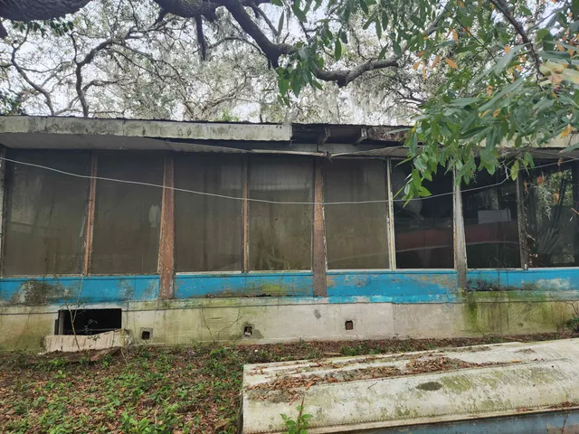 a view of a small yard