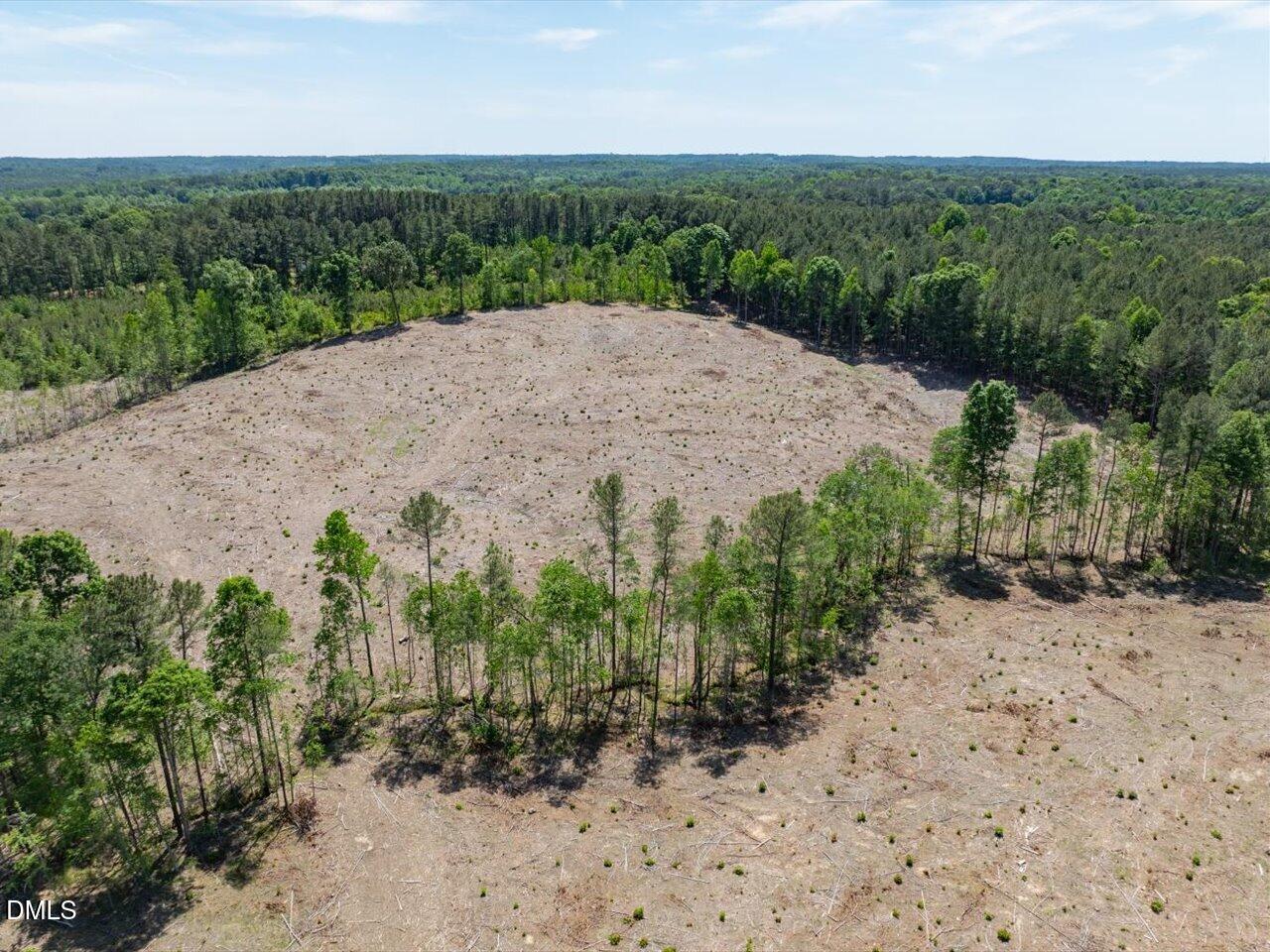 0 Lower Moncure Road Sanford, NC 27330 - Photo 17 of 21 Gallery Image 17