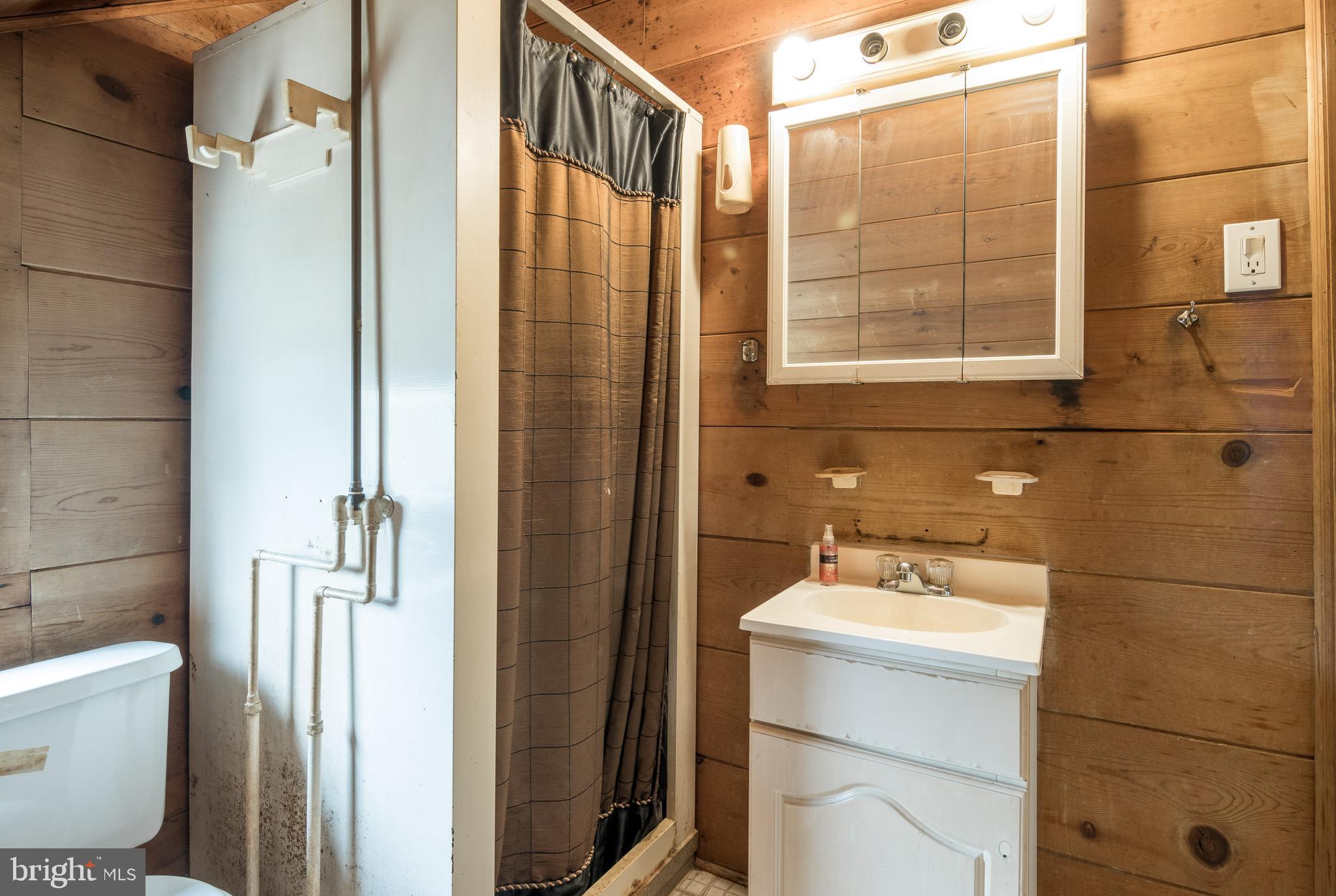 3629 Forest Hill Road Baltimore, MD 21207 - Photo 33 of 39 This could be a great master bathroom.
