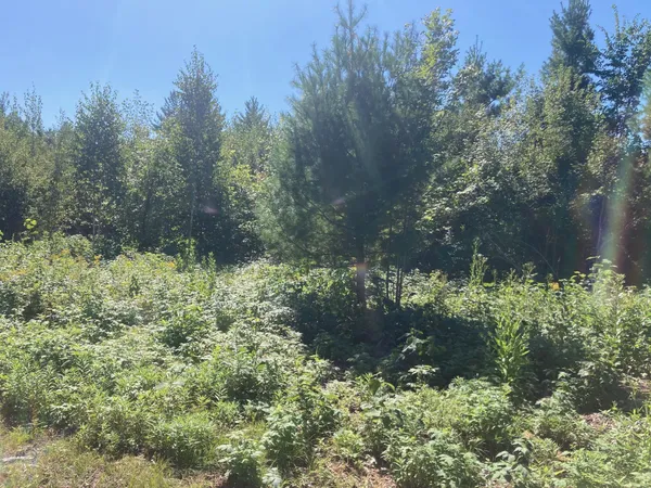 $66,930 | Lot 4 Surely Drive, Siren, WI 54872