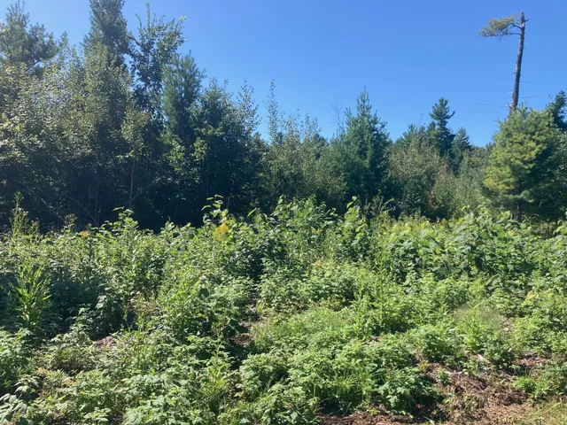 $66,930 | Lot 4 Surely Drive, Siren, WI 54872