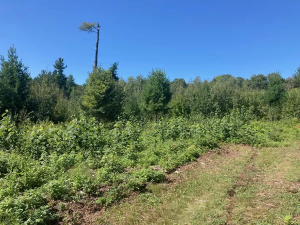 $66,930 | Lot 4 Surely Drive, Siren, WI 54872