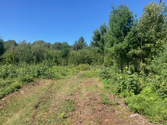 $66,930 | Lot 4 Surely Drive, Siren, WI 54872