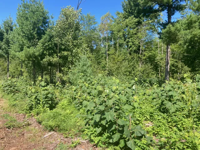 $66,930 | Lot 4 Surely Drive, Siren, WI 54872