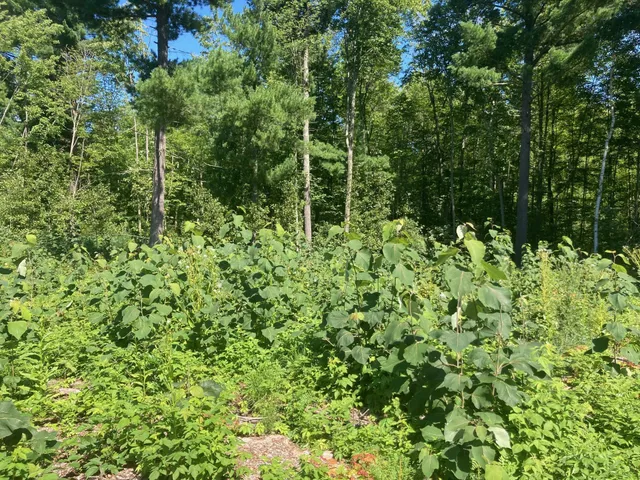 $66,930 | Lot 4 Surely Drive, Siren, WI 54872