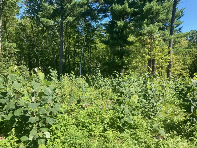 $66,930 | Lot 4 Surely Drive, Siren, WI 54872