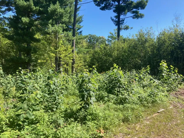 $66,930 | Lot 4 Surely Drive, Siren, WI 54872