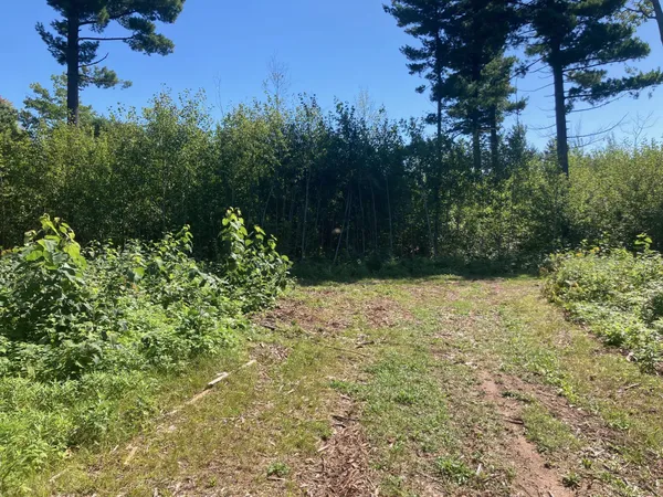 $66,930 | Lot 4 Surely Drive, Siren, WI 54872