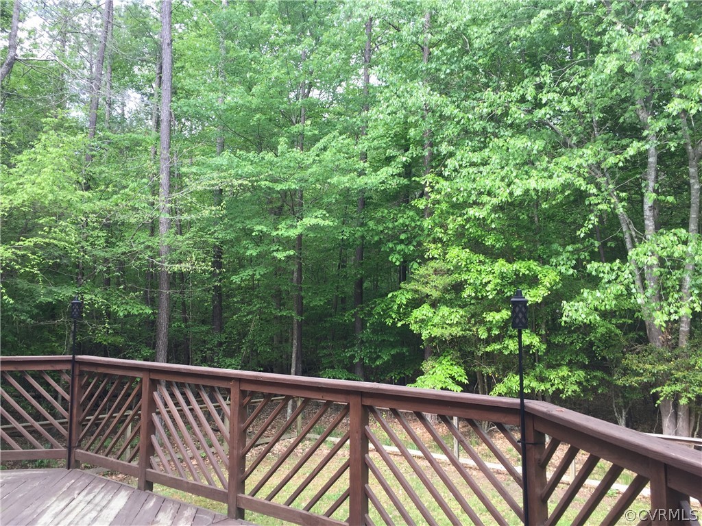 7212 Swiftrock Ridge Terrace Chesterfield, VA 23838 - Photo 15 of 17 Private wooded lot