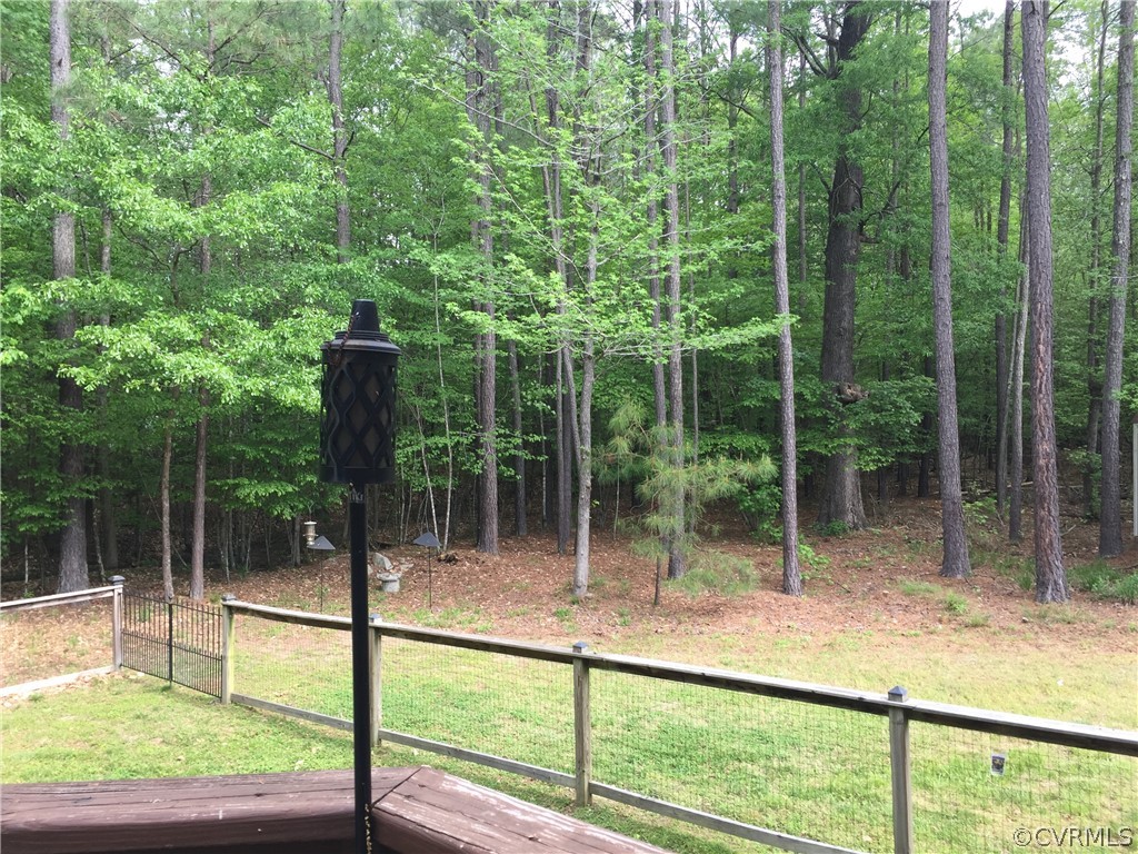 7212 Swiftrock Ridge Terrace Chesterfield, VA 23838 - Photo 16 of 17 Side yard view