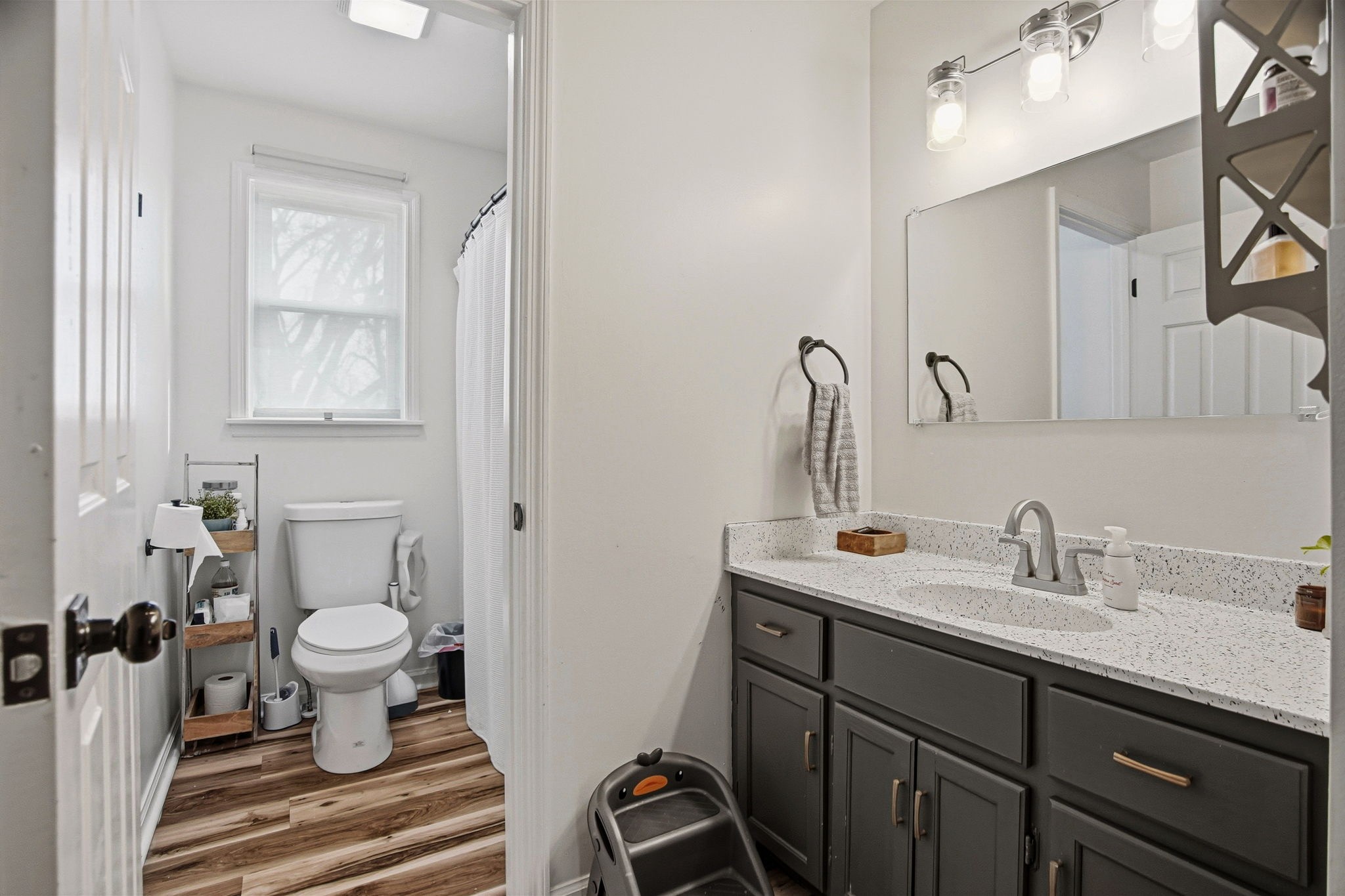 6023 Wayman Dunn Road Springfield, TN 37172 - Photo 40 of 58 a bathroom with a sink toilet and a mirror