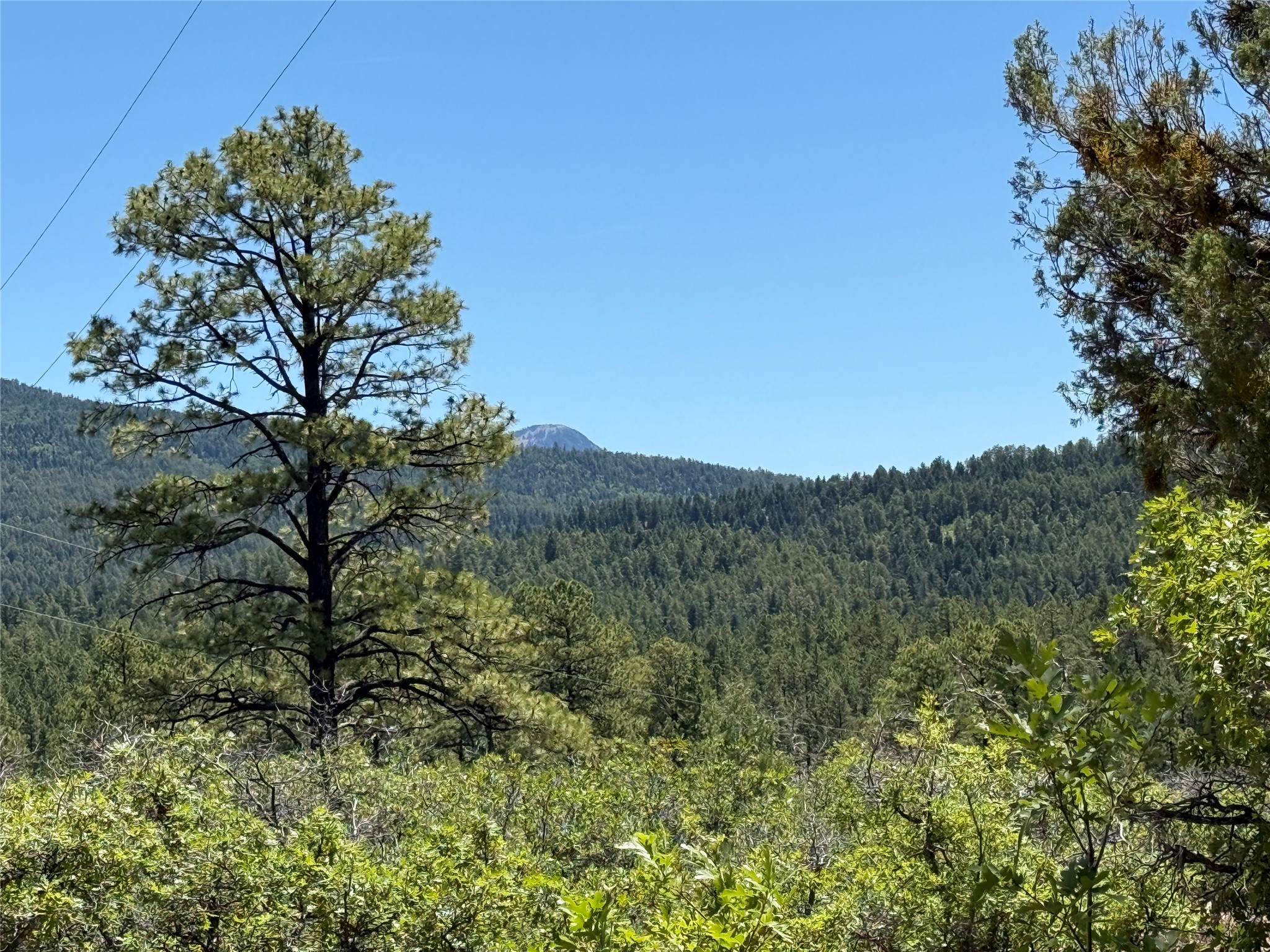 381 Buckman Road Chama, NM 87520 - Photo 17 of 23
