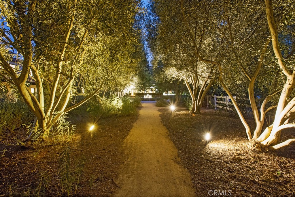 28100 Modjeska Canyon Road Silverado, CA 92676 - Photo 27 of 30 a view of yard