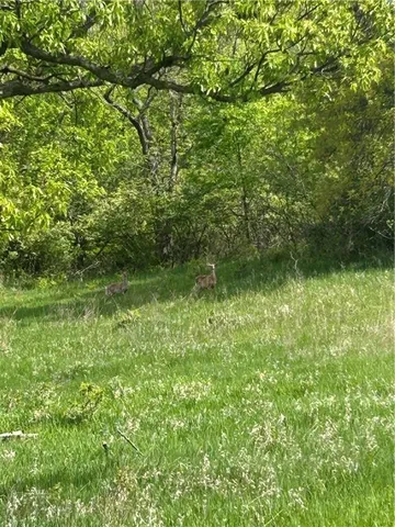 $690,000 | 2520 Northwest 68th Street, Kansas City, MO 64151