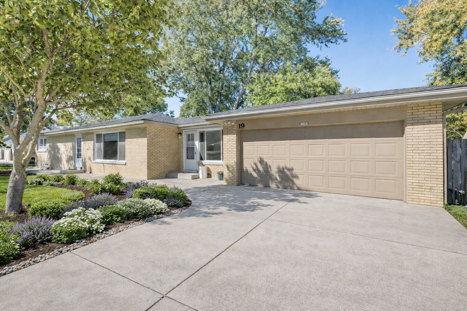 a backyard of a house with plants and trees