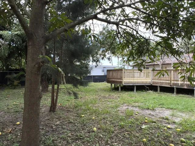 a view of a backyard with large trees