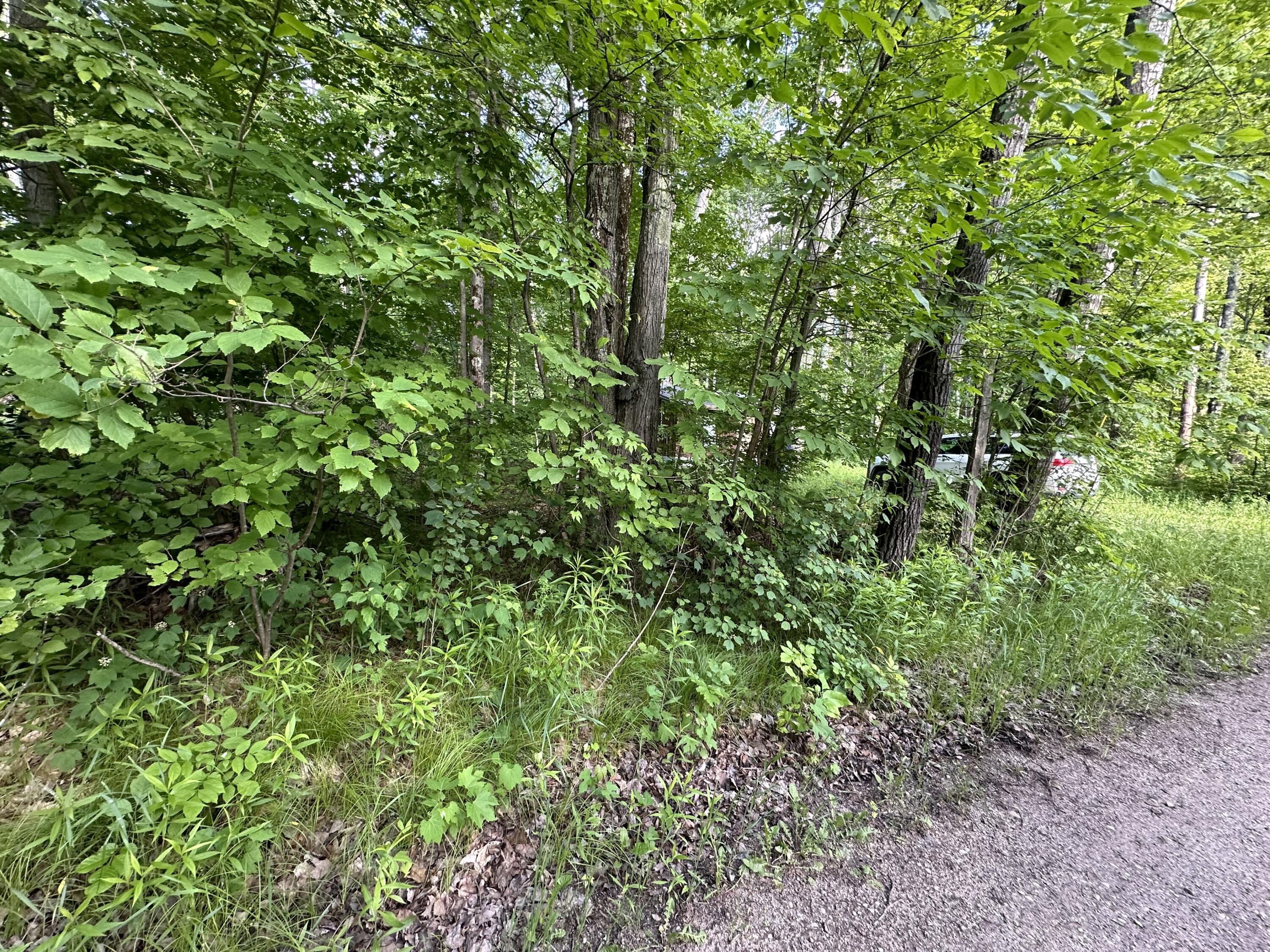 0 South 3 1/2 Road Wellston, MI 49689 - Photo 1 of 6 Vacant lot