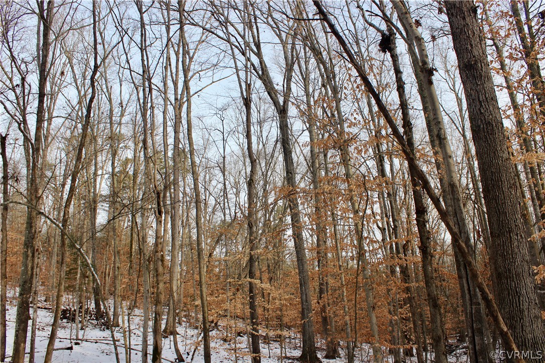 2244 Hardings Mill Road Nathalie, VA 24577 - Photo 19 of 47