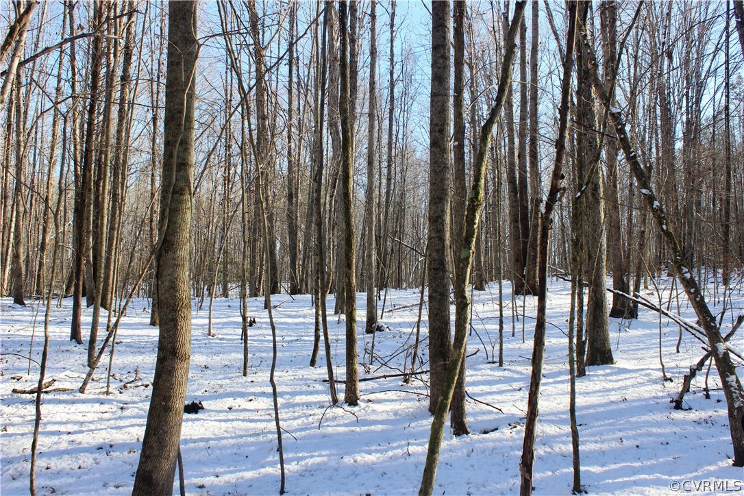 2244 Hardings Mill Road Nathalie, VA 24577 - Photo 20 of 47