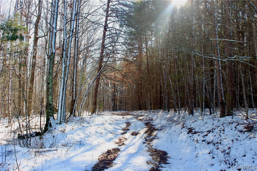 2244 Hardings Mill Road Nathalie, VA 24577 - Photo 2 of 47